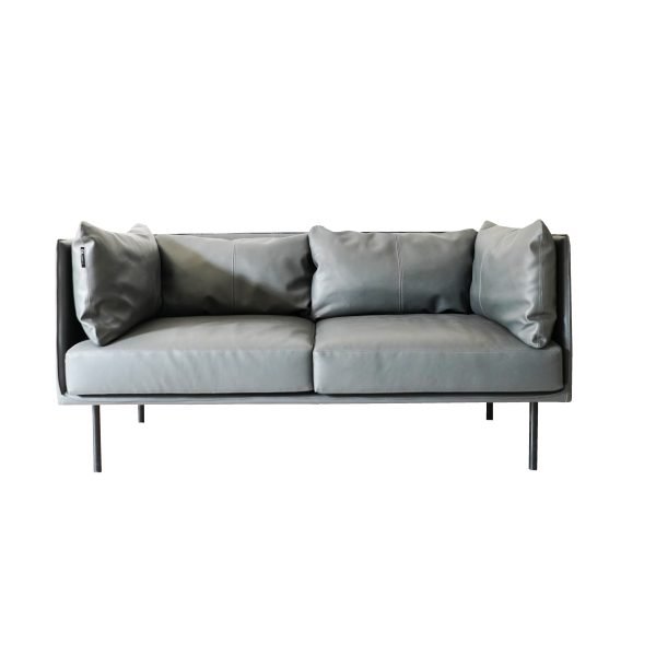 Oxford Sleek 2 Seater Couch in Leather