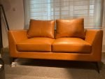 Elite Couch 2 Seater - Basic - Image 4